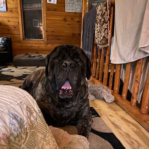 Meet your Posher, June